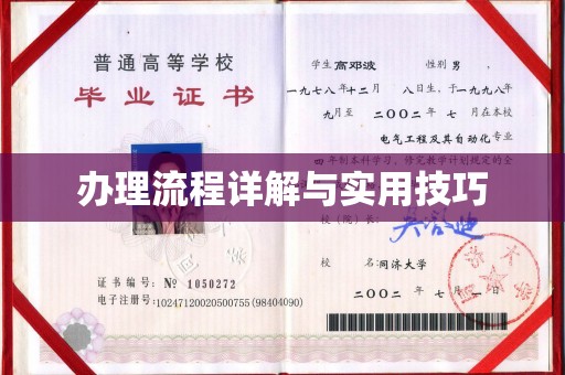 新丰办理流程详解与实用技巧