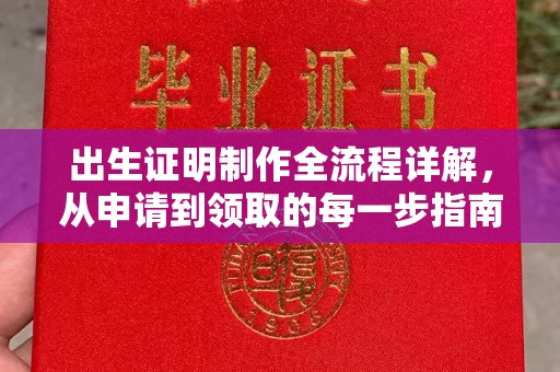 新丰出生证明制作全流程详解，从申请到领取的每一步指南