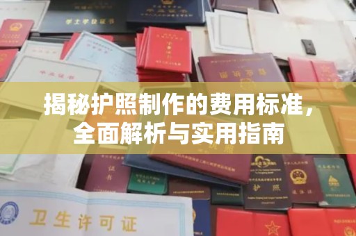 新丰揭秘护照制作的费用标准，全面解析与实用指南