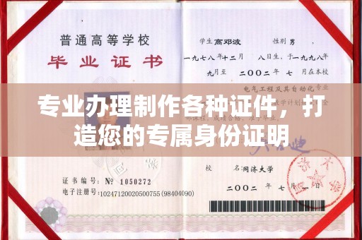 新丰专业办理制作各种证件，打造您的专属身份证明