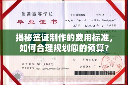 新丰揭秘签证制作的费用标准，如何合理规划您的预算？