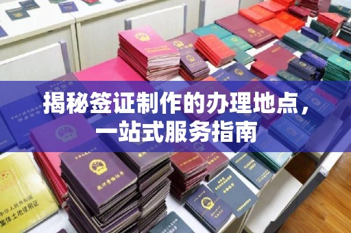 新丰揭秘签证制作的办理地点，一站式服务指南