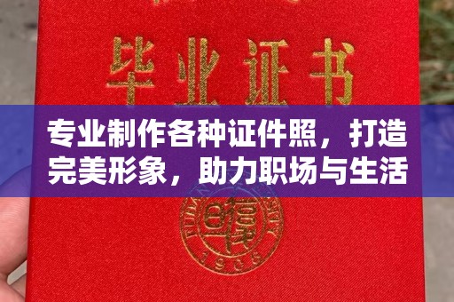 新丰专业制作各种证件照，打造完美形象，助力职场与生活