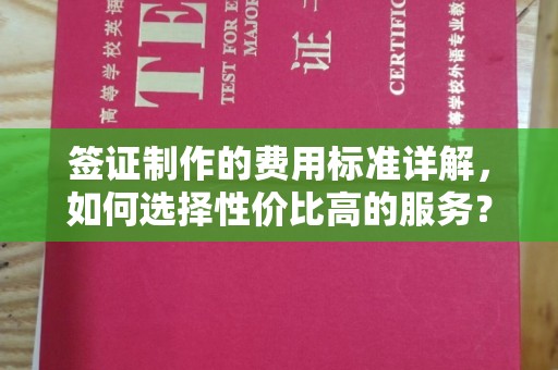 新丰签证制作的费用标准详解，如何选择性价比高的服务？