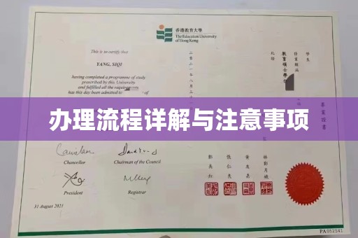 新丰办理流程详解与注意事项